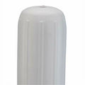 Fender Inflatable Big Taylor B Vinyl