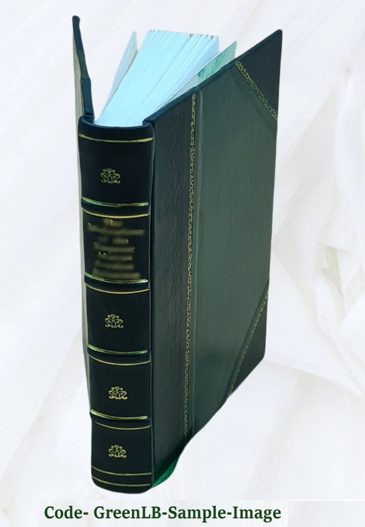 v.2 mask Volume 1826 brazen Charlotte : romance Bound] The [Leather by Putney. a /