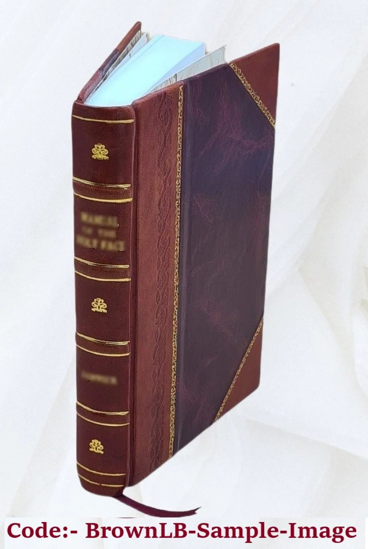 [Leather / d'Auvergne Bouillet. Nobiliaire J.-B. 1846 Volume ... v.6 Bound]