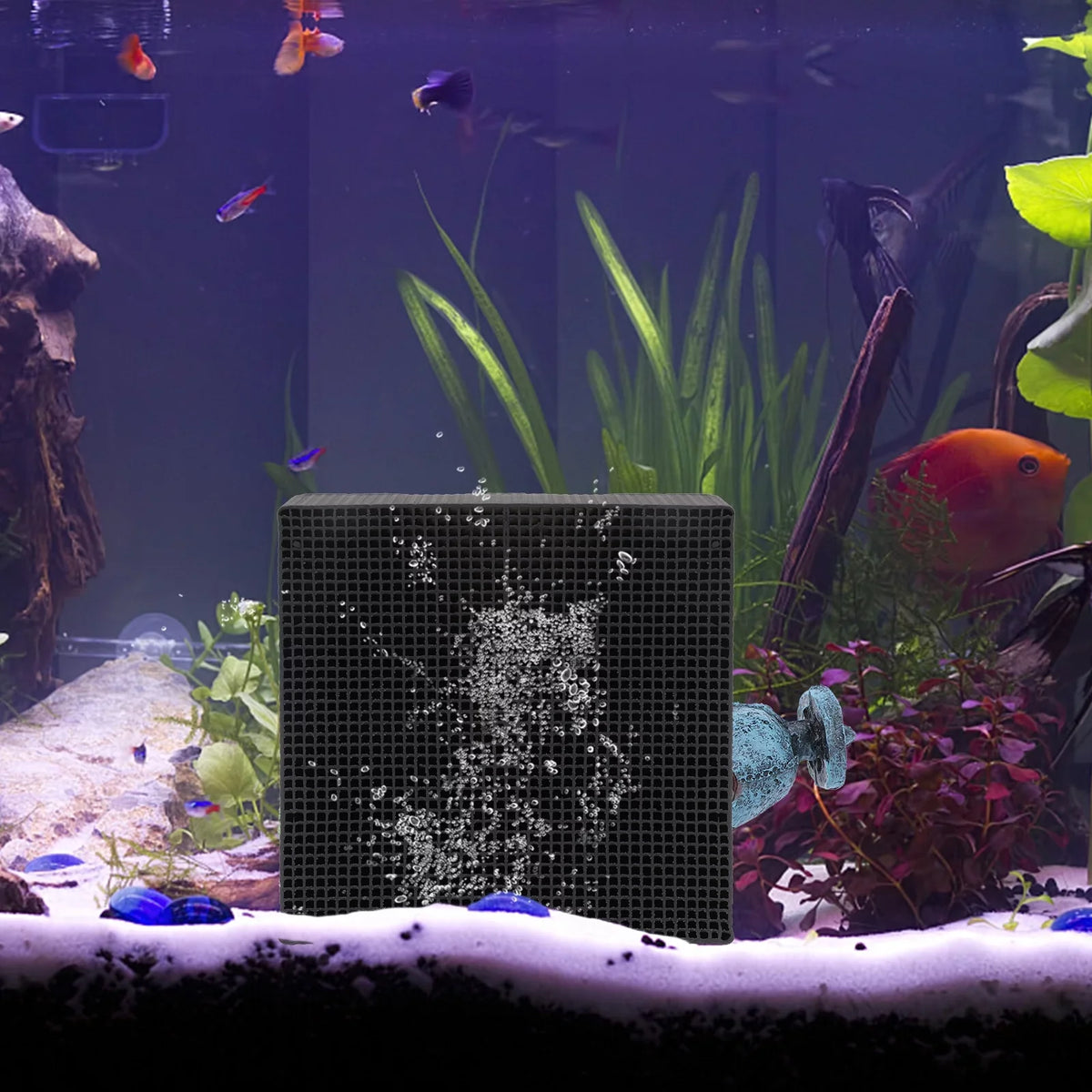Cleaning Fish Etereauty Efficient Cleaners Cubes Tank Filtering Fish Filtration Tank 2pcs