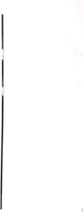 001653-CA2 Treadmill Lower Layering Backing Fitness W Sheet Vision Works