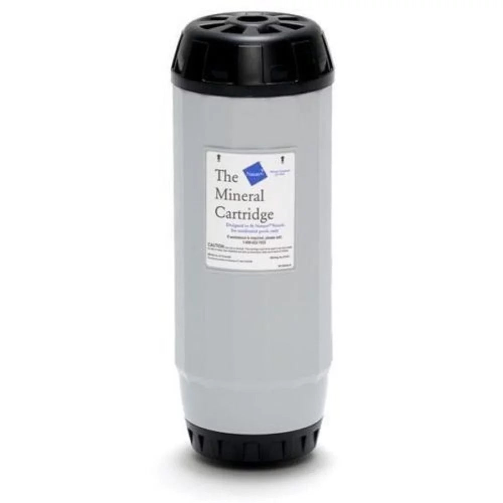 Cartridge Nature2 Replacement Inground W28155 Premium