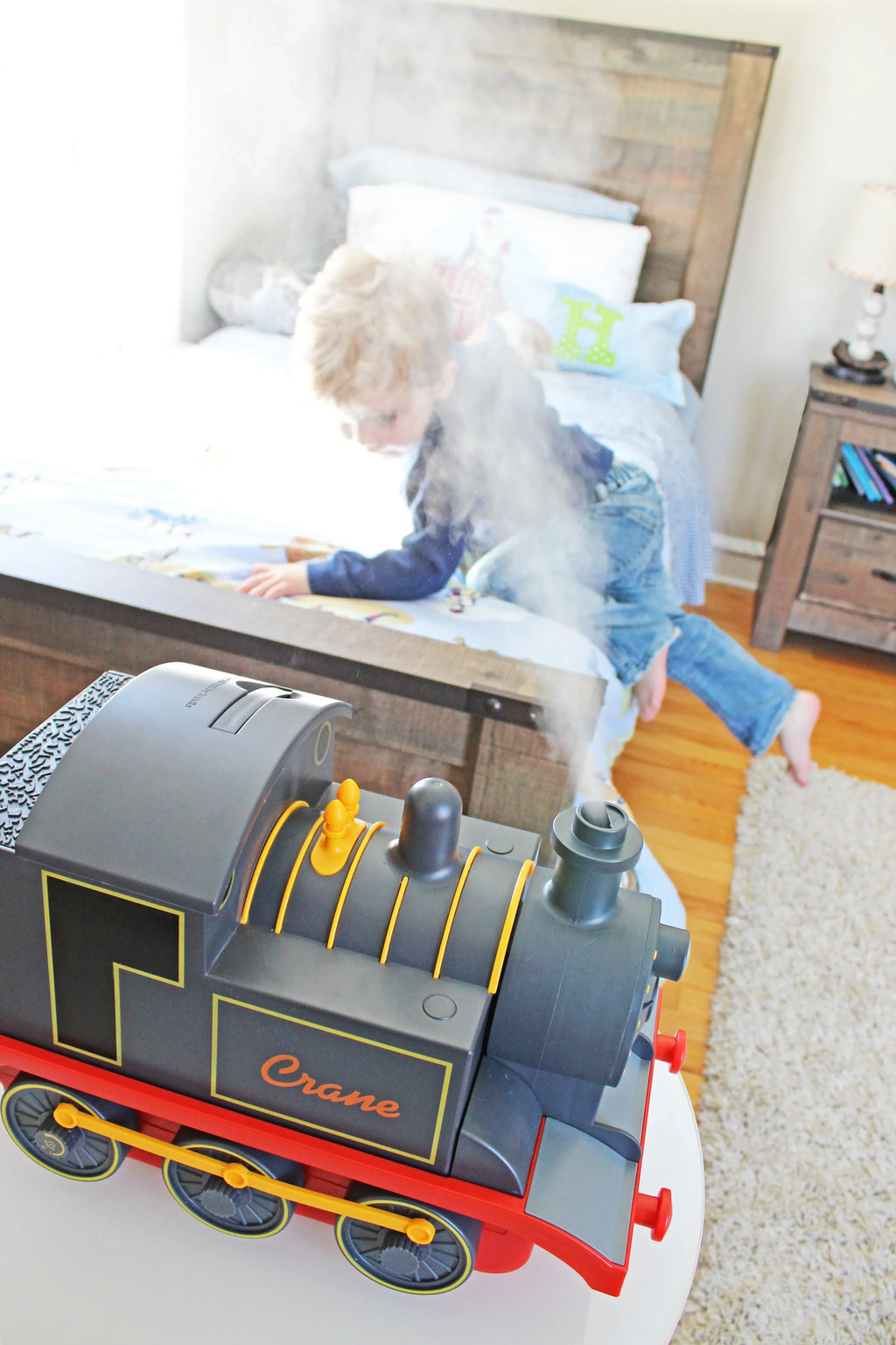 Adorable Cool Crane - Train Humidifier Mist Ultrasonic