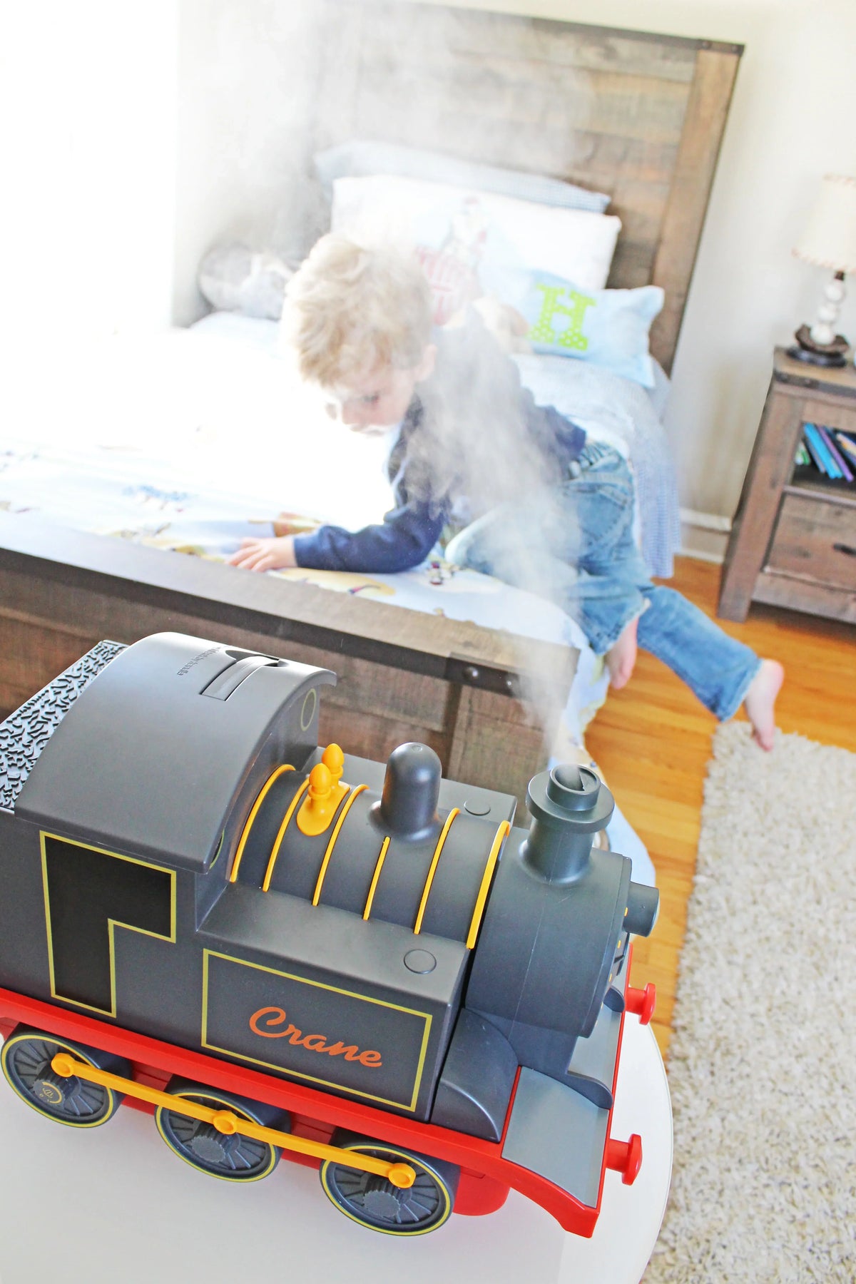 Adorable Cool Crane - Train Humidifier Mist Ultrasonic
