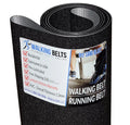 Performance 1ply 600C Sand Proform Blast Running PFTL795133 Treadmill Belt