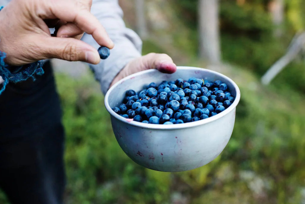 Stainless with Each Combo & 14.1 Bonus Spoon Steel Preserves Swedish (3-Pc Set) (400 Pack Hafi Modern Blueberry ml) of Oz. Swedish Gooseberry