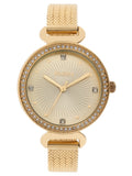 Elgin Dial Gold-Tone Analog Sunray Watch - Woman's with EG1610011 Adult
