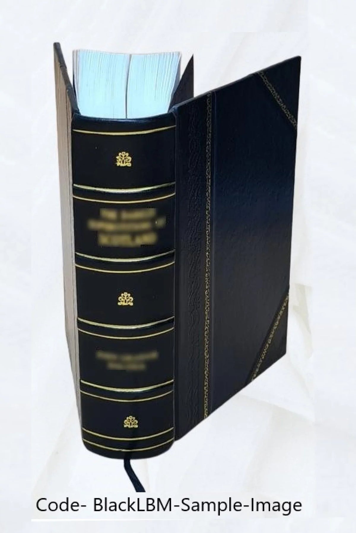 America of Fairbanks 1897 in Genealogy 1633-1897 Family [Leather the Bound]